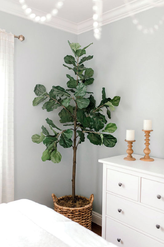 Long Beach Master Bedroom Remodel - Casafina Interior Design